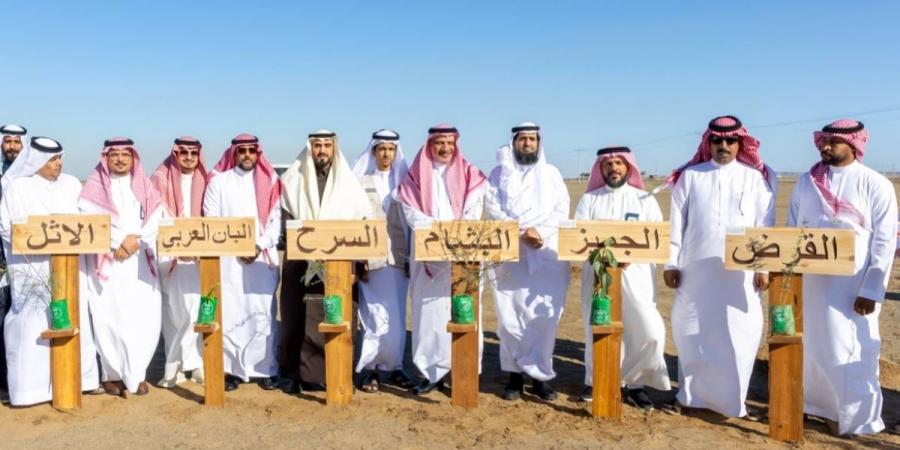 شركة المياه الوطنية والمركز الوطني لتنمية الغطاء النباتي يدشنان مشروع تشجير متنزه وادي قديد بزراعة 85 ألف شتلة.