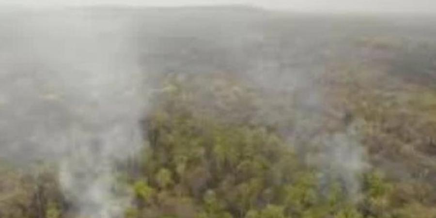 البرازيل تستغل نفط الأمازون.. ثروات هائلة وفرص اقتصادية وسط مخاطر بيئية