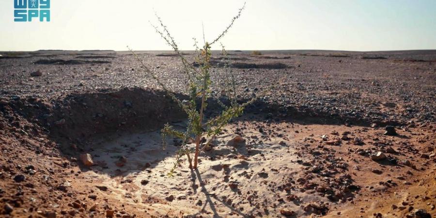 وزير الداخلية يدشن المشتل المركزي ومحطة أبحاث وإنتاج البذور البرية