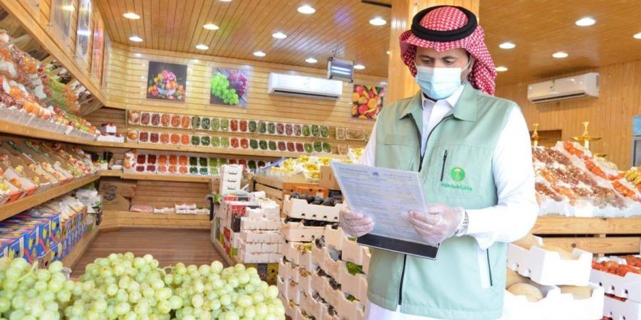 «بيئة الجوف» ينفذ 2100 زيارة تفتيشية و717 جولة رقابية في مارس