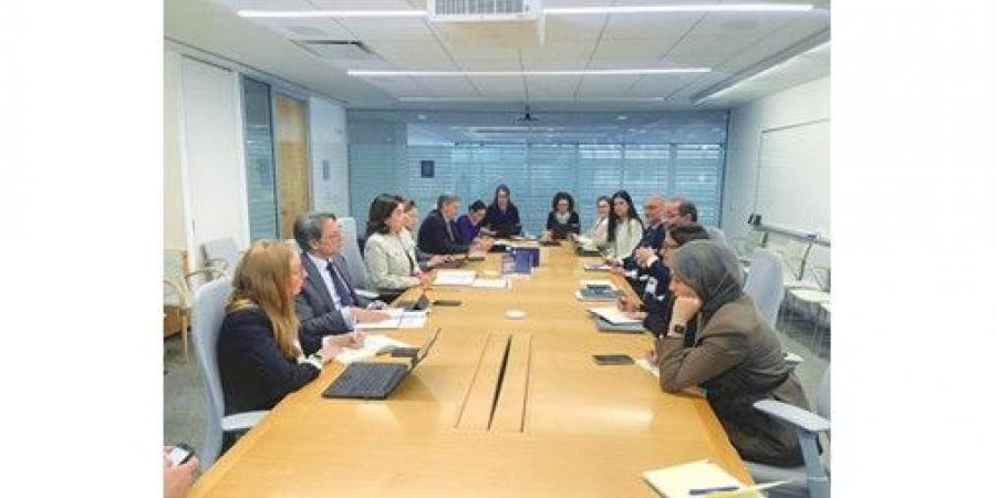 وزير المالية: السلطات المصرية تعاملت مع الأزمة الراهنة بمنهجية سريعة واستباقية حظيت بتقدير المؤسسات الدولية