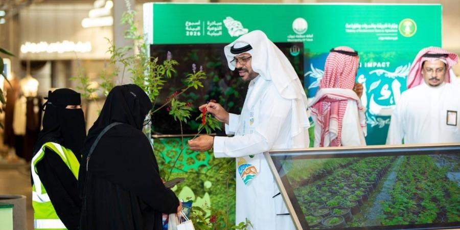 أمانة تبوك تشارك في أسبوع البيئة بمبادرات متنوعة وبرامج تعريفية