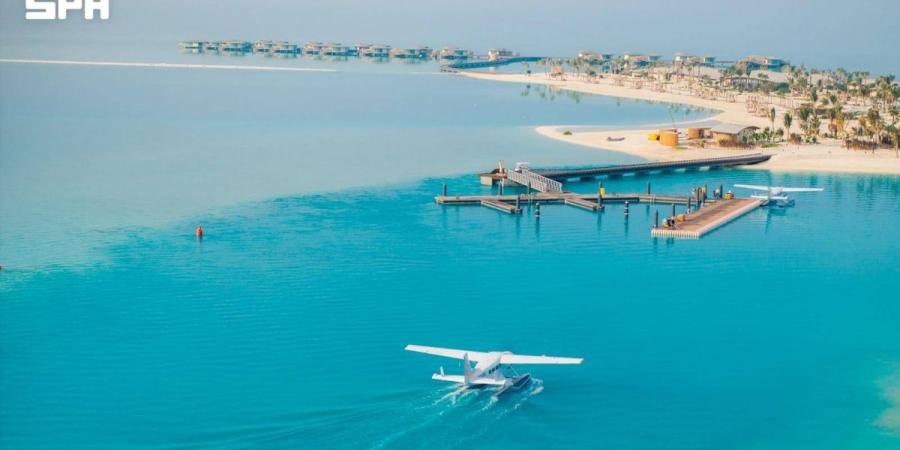 الطاقة المتجددة تقود «البحر الأحمر الدولية» لتجنب 118 ألف طن من الانبعاثات الكربونية