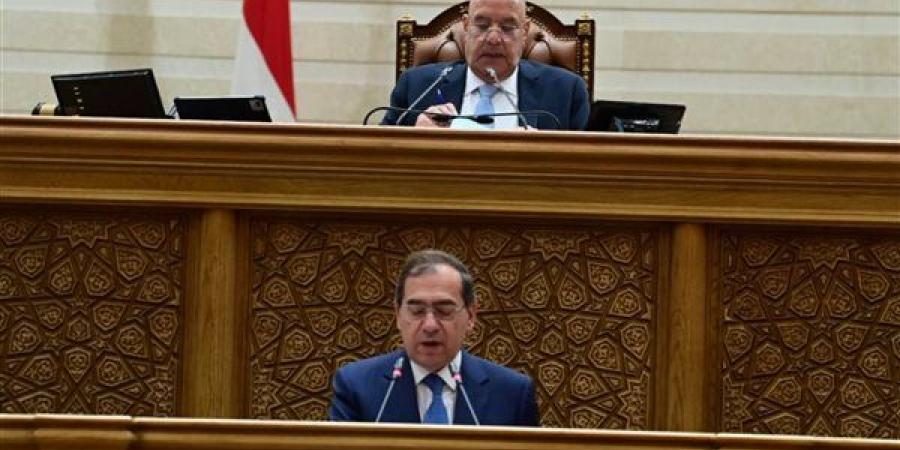 النواب يوافق نهائيًا على انضمام مصر لمبادرة "الشرق الأوسط الأخضر"