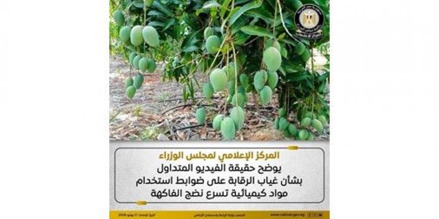الحكومة توضح حقيقة فيديو يزعم غياب الرقابة على استخدام مواد كيميائية بالفاكهة