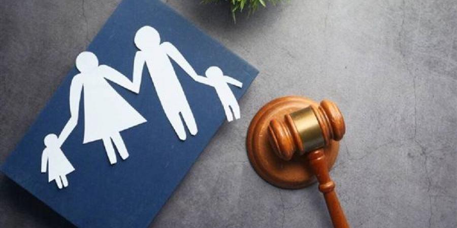 قانون الطفل، أماكن يتم تسليم الأطفال المفقودة إليها