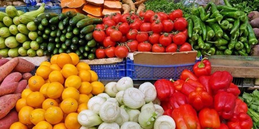 سعر الخضار اليوم، الطماطم تبدأ من 10 جنيهات والليمون بـ 35 والباذنجان يتهاوى