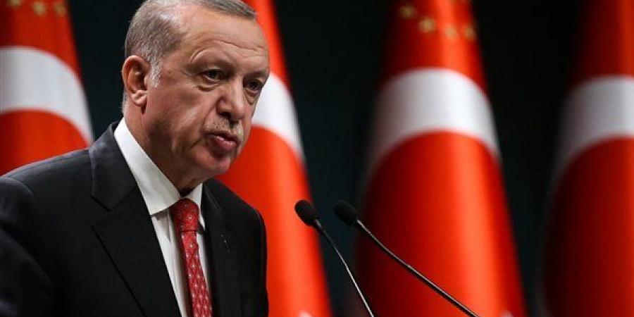 أردوغان يحذر إيران من أطراف دخلية تسعى لإفشال المفاوضات مع أمريكا
