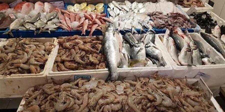 ارتفاع البوري وانخفاض الجمبري والكابوريا، أسعار السمك اليوم الإثنين 22 يونيو 2026