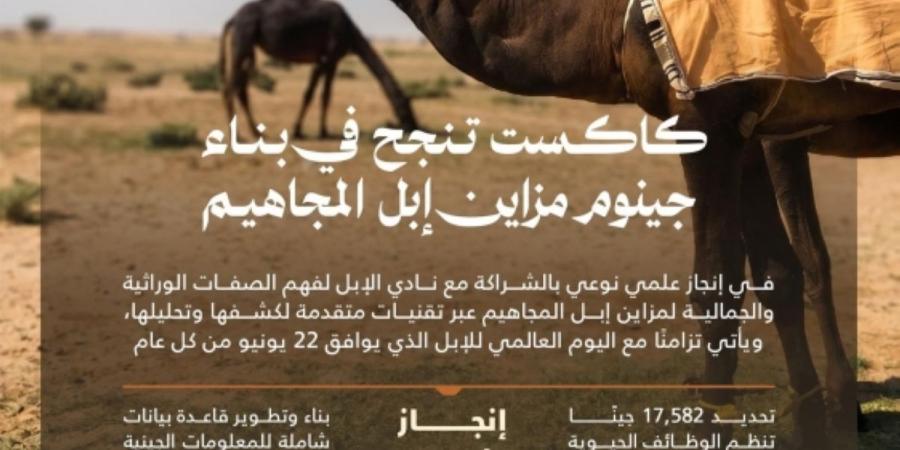 «كاكست» تنجح في بناء جينوم مزاين إبل المجاهيم