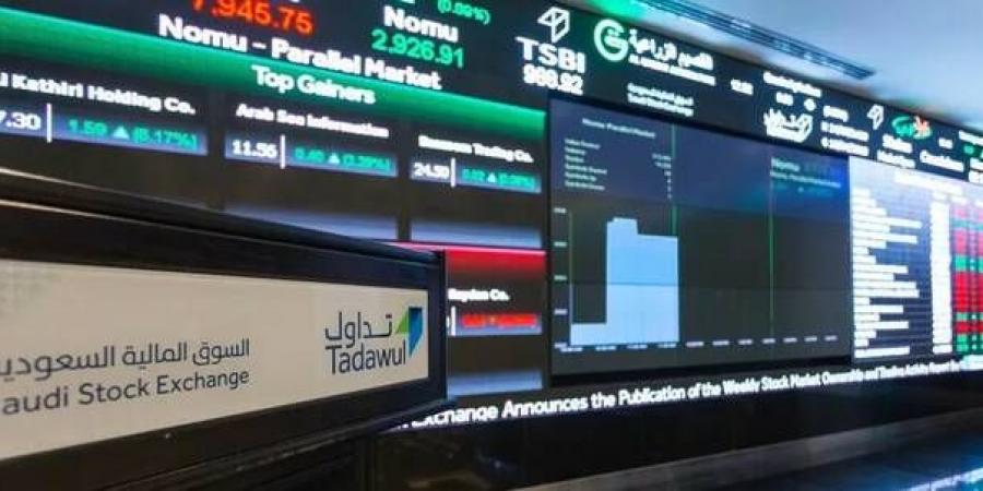 7 أسهم بالسوق السعودي تسجل أدنى مستوياتها التاريخية.. و"ناف" يهبط 87%