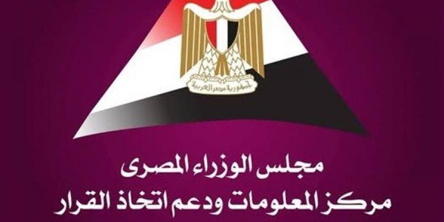 "معلومات الوزراء": مصر نجحت في ترسيخ مكانتها كمركز إقليمي لخدمات التعهيد