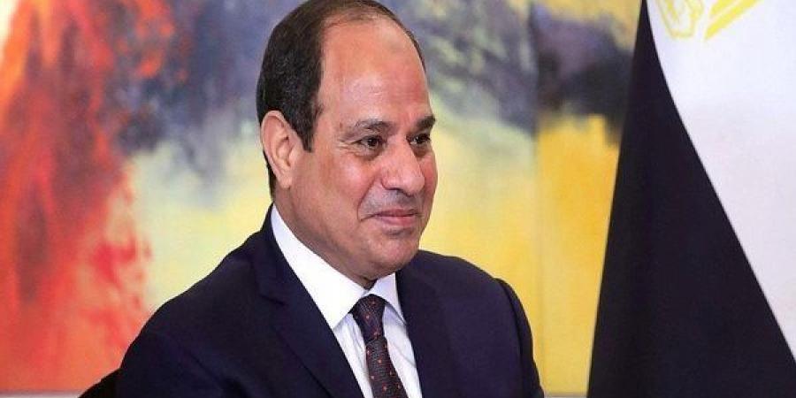 السيسي للسفراء الجدد: نحرص على تطوير التعاون وترسيخ العلاقات في مختلف المجالات