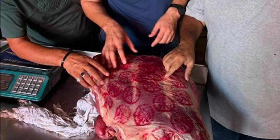 ضبط 1.3 طن لحوم ودواجن فاسدة في الغربية (صور)
