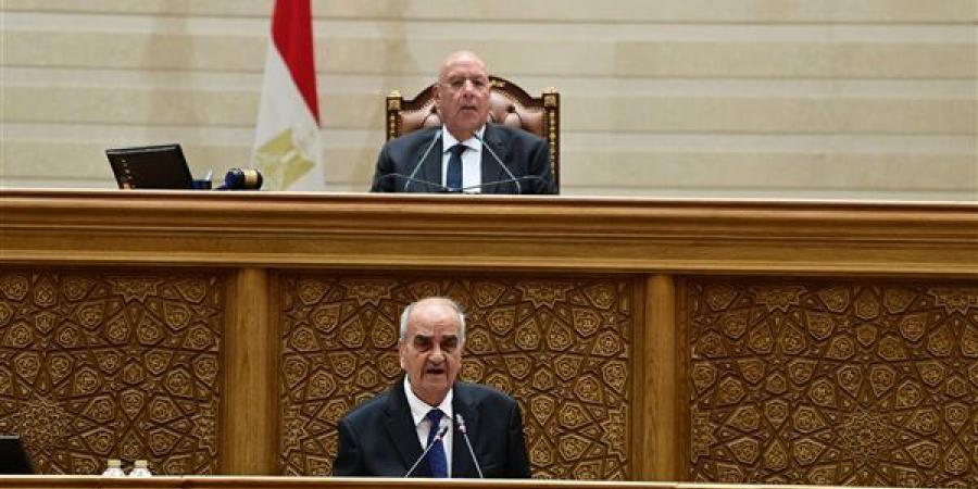 نواب: مشروع قانون جهاز مستقبل مصر يحقق الاستفادة القصوى من أصول الدولة