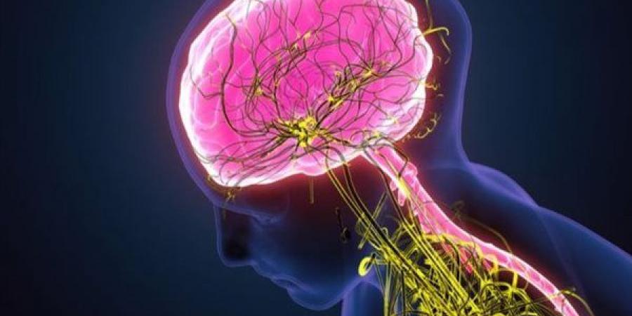 أعراض فرط نشاط الجهاز العصبي وأسباب الإصابة به