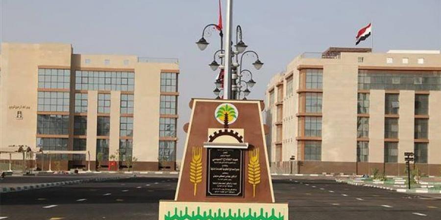 أنشطة متنوعة لمديرية العمل بالوادي الجديد لدعم التشغيل والتدريب