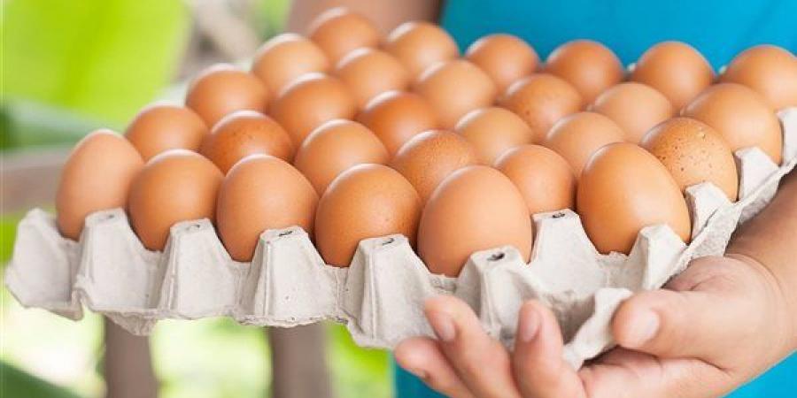 سعر كرتونة البيض اليوم الجمعة في بورصة الدواجن