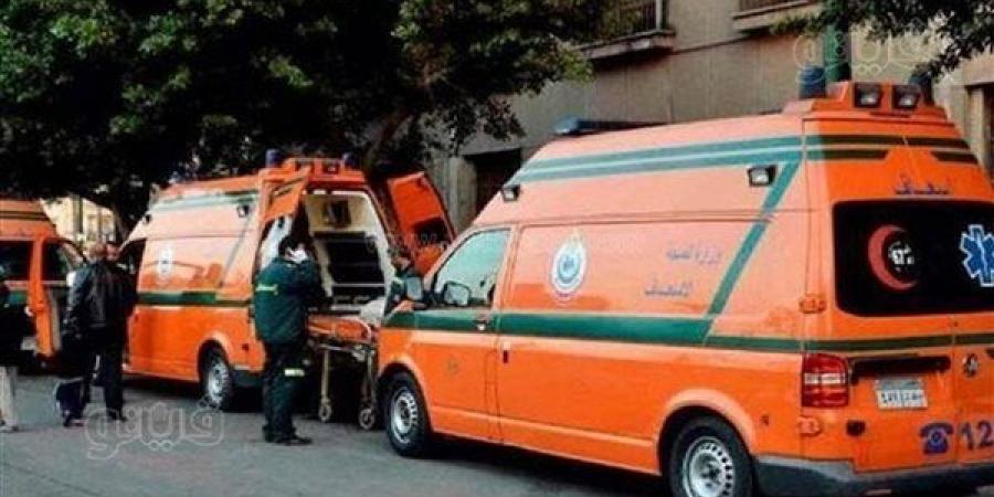 إصابة 6 أشخاص في تصادم سيارة ملاكي بعربة كارو بتمي الأمديد في الدقهلية
