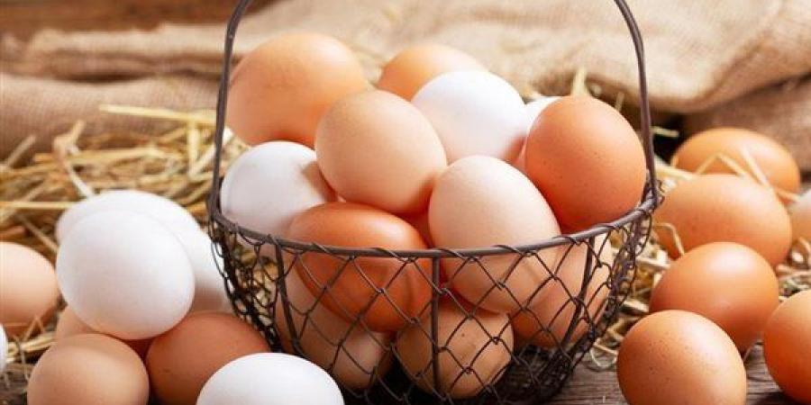 الأبيض والأحمر يواصلان الارتفاع، سعر كرتونة البيض اليوم الإثنين في بورصة الدواجن