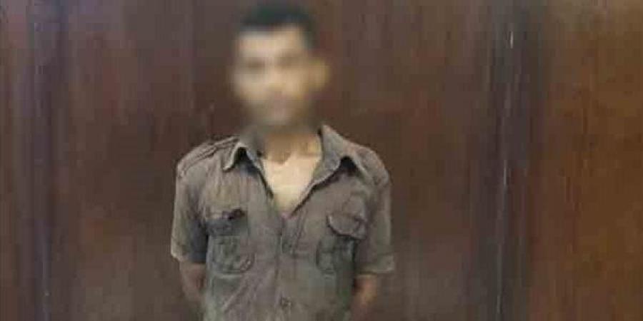 سرقة هاتفين من شقة بالمرج، ضبط عاطل بعد تداول فيديو الواقعة