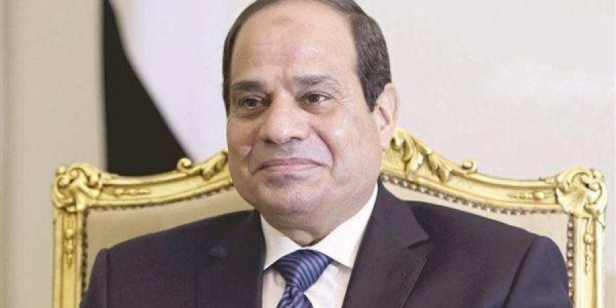 السيسي يوجه بدعم توطين الصناعات المُرتبطة بالطاقة الجديدة والمتجددة