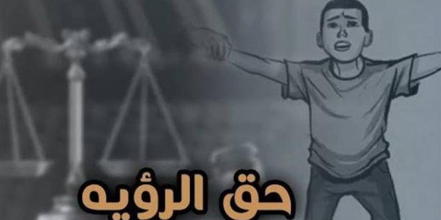 أزمة تعطيل تنفيذ أحكام الرؤية تحت قبة البرلمان، لماذا تطالب الأحزاب بكتاب دوري وتنظيم للاستضافة؟