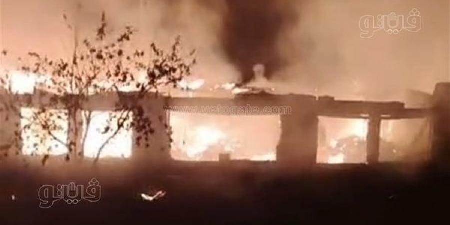 حريق هائل يلتهم مزرعة دواجن بالمحلة في الغربية (فيديو)