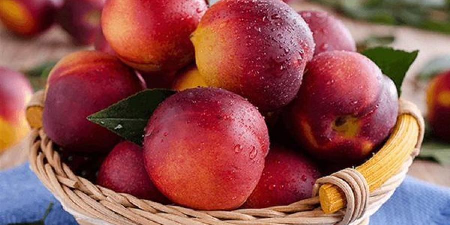 تفسير رؤيا الخوخ في المنام وعلاقتها بسماع أخبار سارة قريبا